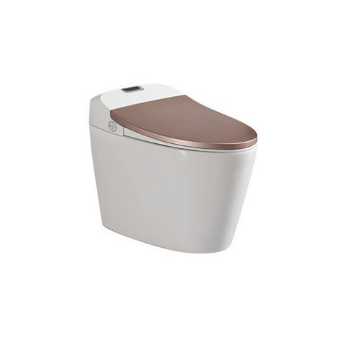 Bàn cầu thông minh Viglacera V-SMART V94GW (Hết hàng)
