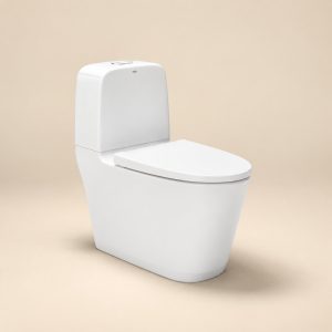 Bồn cầu hai khối AC - 832VN