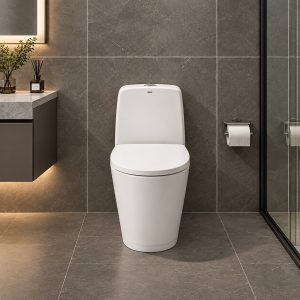 Mẫu bồn cầu hai khối AC - 832VN