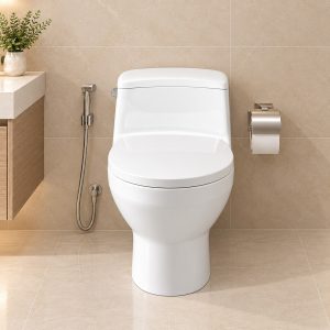 Mẫu bồn cầu một khối AC - 4005 hiện đại